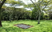 Birds of Paradise B&B Hotels in Eshowe