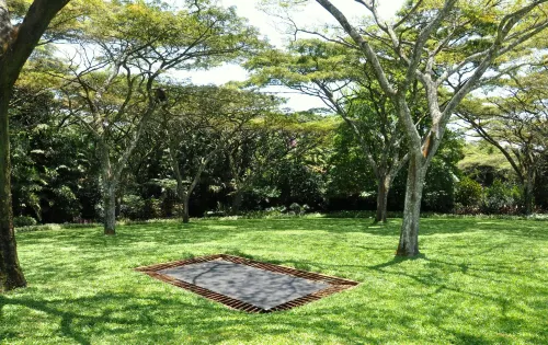 Birds of Paradise B&B Hotels in Eshowe