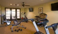 葡萄園橋酒店 - 健身室/gym room