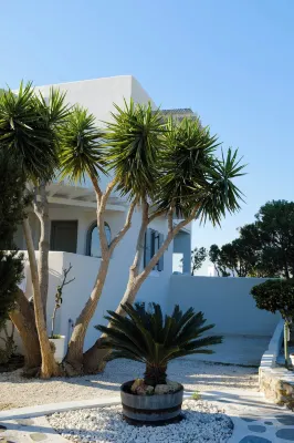 Villa Faros Small Hotel and Restaurant - Mountain view