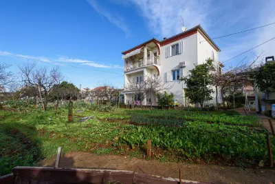The Apartments Consists of Two Bedrooms, a Bathroom, a Kitchen and a Living Room
