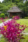 Cumaceba Curaka Inn - Homestays
