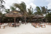 Jaz Adonia - Beach