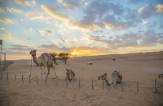 Sama Al Wasil Desert Camp