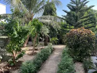 Bine Bassile Hôtels à proximité de : Parc Exotique du Sénégal