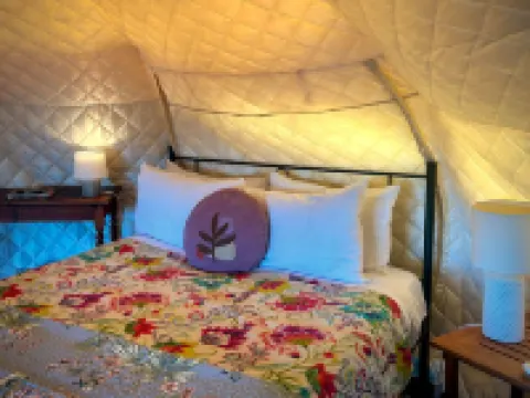 Te Tiro Accommodation Hotels in Waitomo Caves