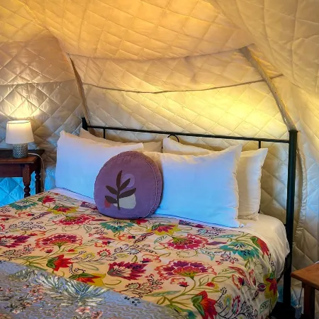 Te Tiro Accommodation