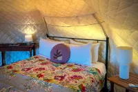 Te Tiro Accommodation Hotels in Te Kuiti