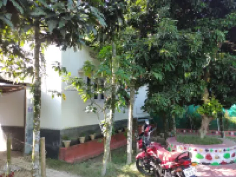 Homocation Manas Green Homestay Hotels in Baksa
