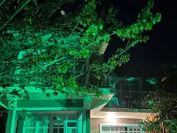 Datça House Butik Otel Hotels in Datça
