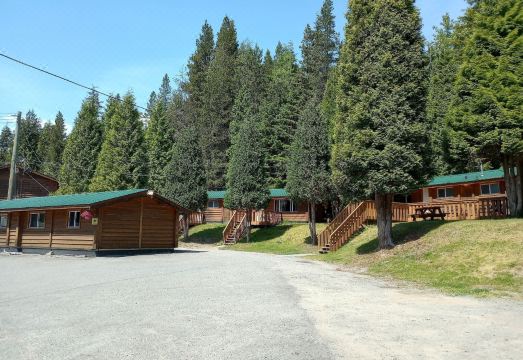 1. 키티맷 로지..