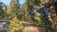 Mar a Vista: Cozy Coastal Cottage with Modern Amenities Hotels near Bowling Ball Beach