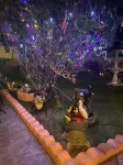 Beautiful 3 bedroom modern home Hotels in 