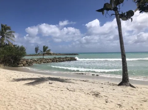 Magnificent bright apartment near the beach