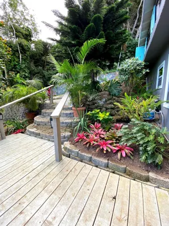 Palm Deck, a private slice of paradise overlooking the ocean Отели в г. Нортсайд