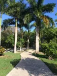 Caribbean Beach Front - Stunning Views - Beautiful Puerto Aventuras - Awesome