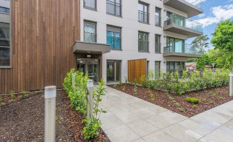 Sand Dunes, Sun & Snow