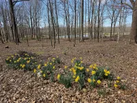 Breathtaking views of Bald Knob Cross, just 2 minutes from Walkers Bluff Casino!