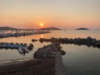 Villa Arbouse - San Ciprianu-Quality/Price-Clim-500m beaches-Pool-WIFI-SPA