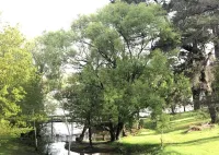 Daylesford Lake Villa 1 ...lake frontage and pet friendly