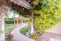 Private Resort style villa at San Diego-heated salt pool-Hot Tub-86" TV - Homestays