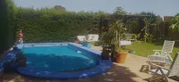Comfortable apartment and swimming pool in the shade of the pine forest of Chipiona - Pool