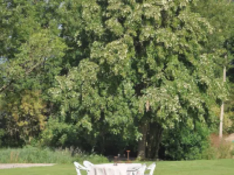 Groot Noordhof Hotels in Nieuwpoort