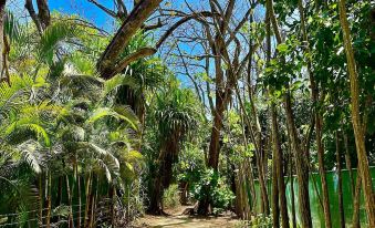 Pacifica Surf Studios - Housity