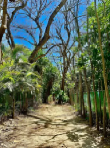 Pacifica Surf Studios