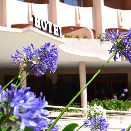 Hotel Los Robles Отели в г. Сафор
