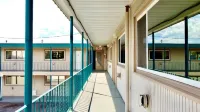 Silver Star Motel Hotels in Vernon