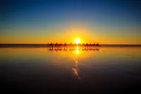 Cable Beach Club Resort & Spa - Ocean View