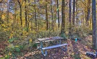 Cozy Anchors Away Cabin Hideaway w/ Fire Pit!