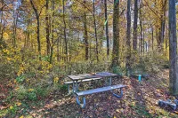 Cozy Anchors Away Cabin Hideaway w/ Fire Pit! Hotels in Thomas