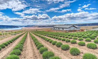 Quincy Home on Lavender Farm w/ River Views!
