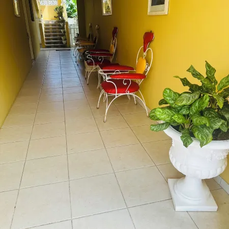 Spring Palm Estate
