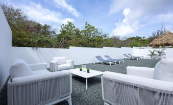 Modern Garden Villa Near Jan Thiel Mambo