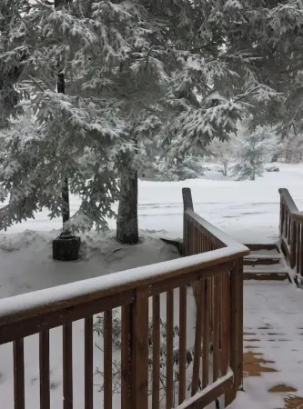 11 Powderidge, Snowshoe, WV - Slopeside Serenity