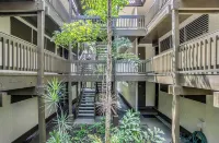 Kona Mansions 5-Minute Walk to Honls Beach