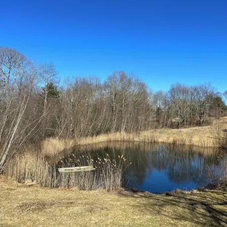 Cozy cabin in charming Kenoza Lake with WiFi, AC, pond,fire pit, lotof amenities