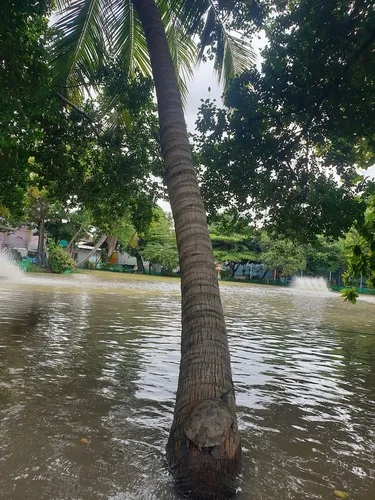 รูปภาพของPet-friendly 4-bedroom house near Bangkok Train-private highspeed WiFi workspace