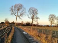 5 Person Holiday Home in Millinge