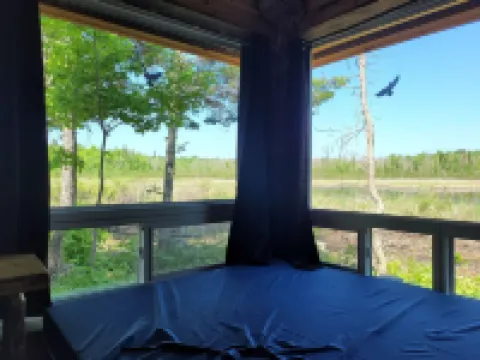 Very Private, Secluded, Nature, Pet Friendly, NO NEIGHBOURS -Red Pine cabin