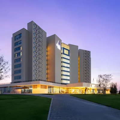 Savitsky Plaza Hotels near Silk Road Samarkand