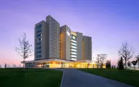 Savitsky Plaza Hotels in 