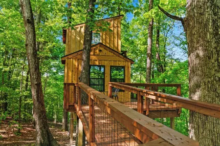 Private Treehouse getaway on Lake Barkley.  Luxury in the trees!