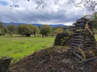 5 bedrooms: Hidden gem at Serra da Estrela with breathtaking views! Hotels in Gouveia