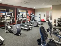 Hampton Inn & Suites Rochester-North Hotels in Rochester