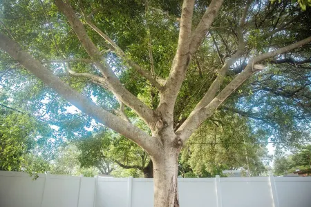 Beautiful Retreat Haven/ 7 miles to beach