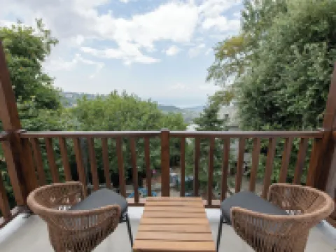 Balcon Makrinitsa Hotels in Makrinitsa